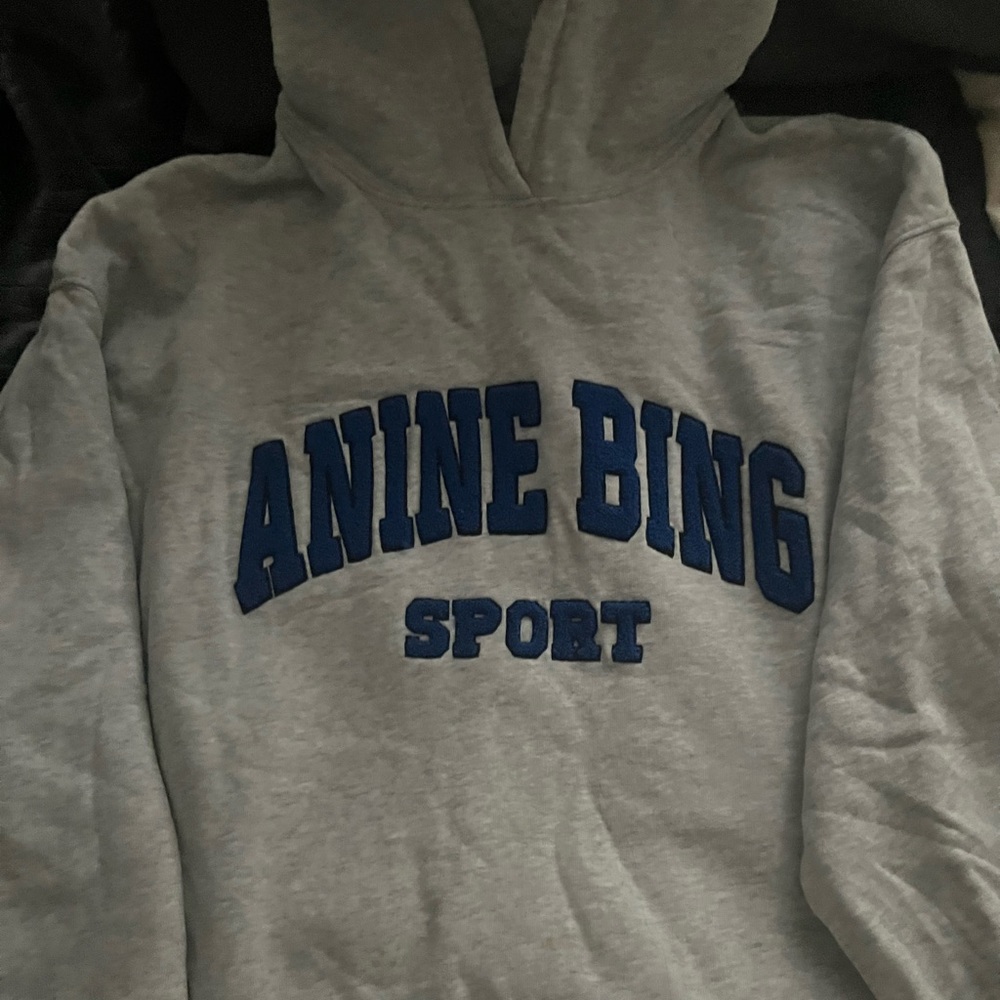 Annie Bing hoodie, Worn twice! Retails for $200. size medium